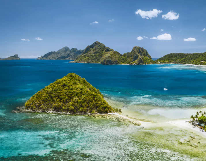 Combating the Illicit Wildlife Trade