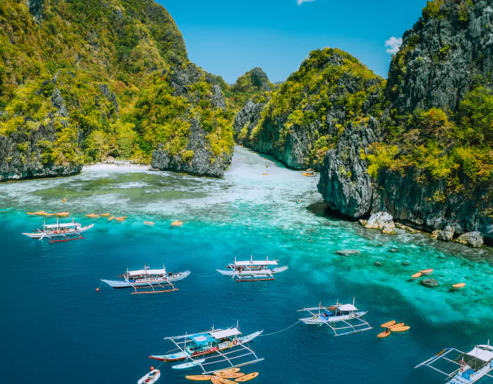 Rinca Island the Enchanted Realm