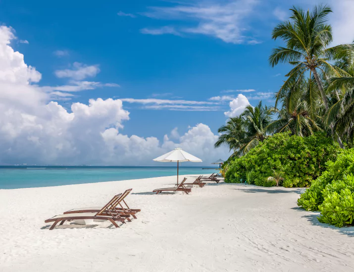 Komodo Resort: A Commitment to Sustainability