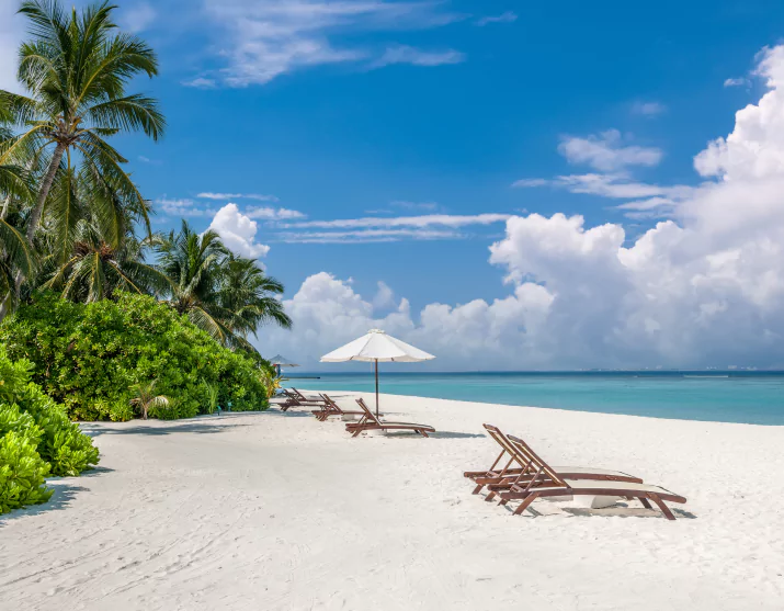 Choosing a Komodo Tour Operator