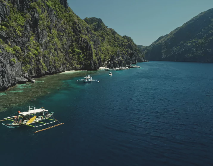 Conservation Initiatives