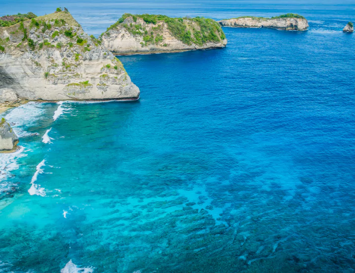 Choosing the Right Komodo Dragon Liveaboard Tour Operator