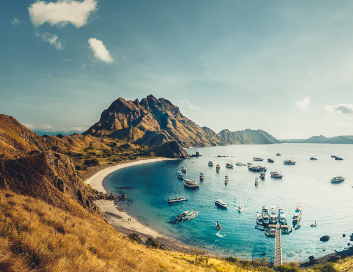 What to Expect on Your Komodo Dragon Tour