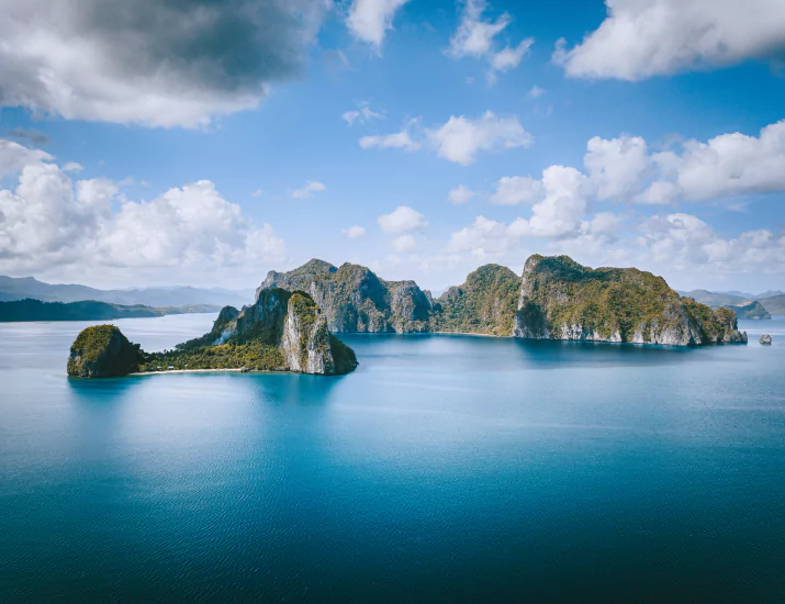 Thriving Amidst the Arid Heat