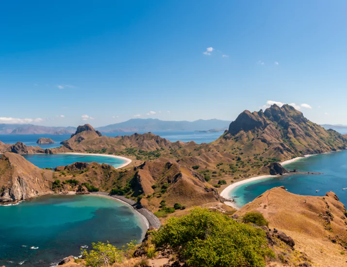 Rinca Island and its Komodo Dragon Population