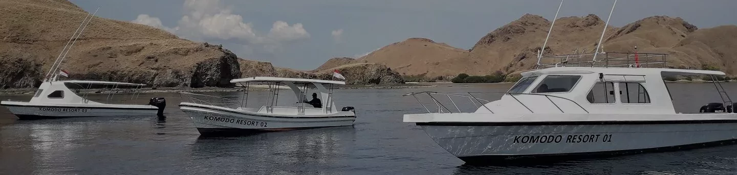 Komodo Liveaboard