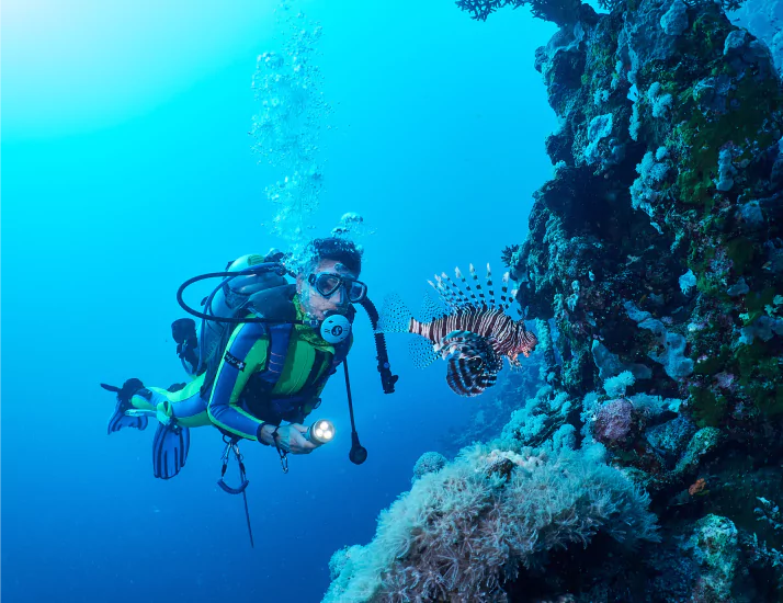 Scuba diver and lionfish at Cannibal Rock dive site, macro diving Komodo