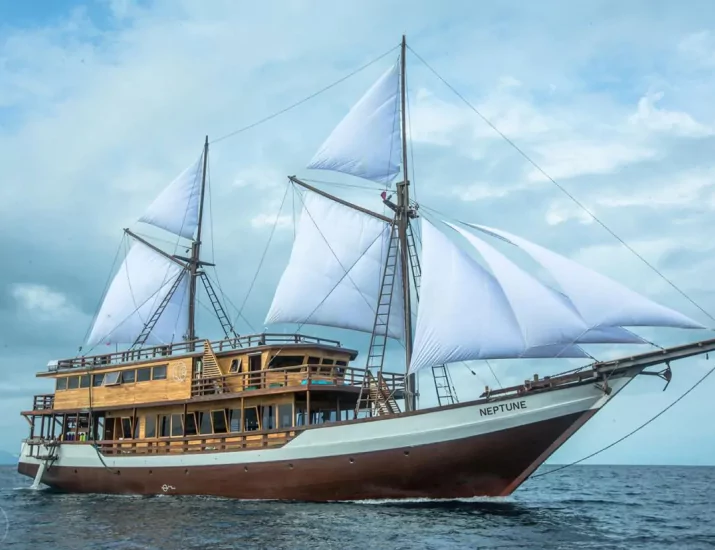 Customize Your Luxury Boat Komodo Experience