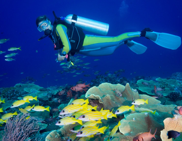 Diver observing schooling fish on a Tatawa Besar drift dive