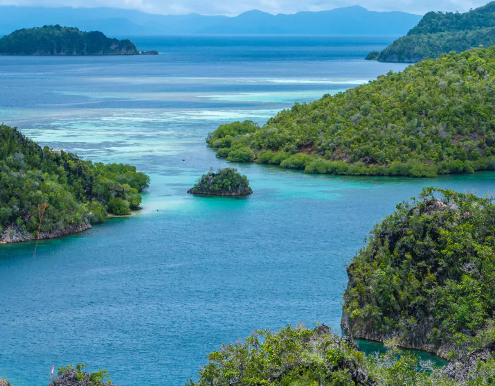 Enjoy the Pink Beach