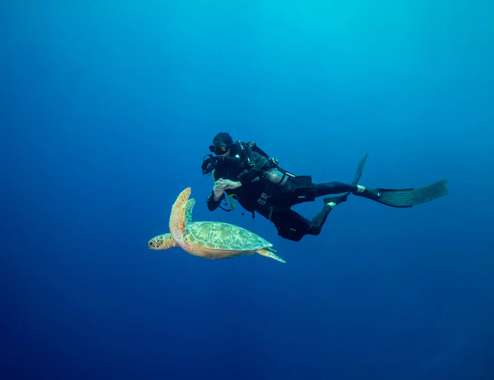 Diver and sea turtle over reef at Siaba Besar Komodo