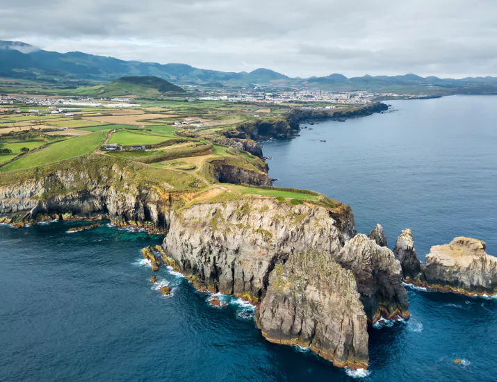 Conservation Efforts