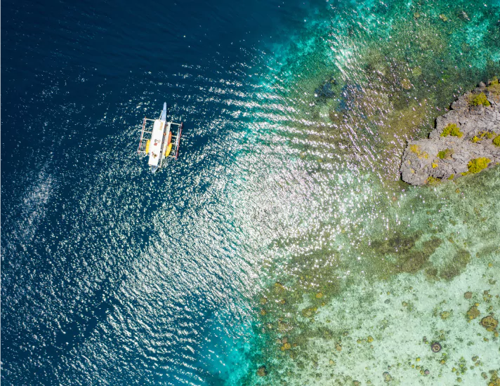 Aerial view of boat