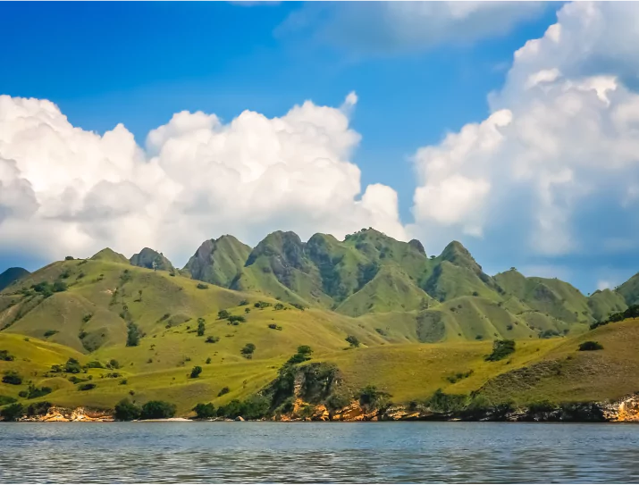 Why Choose Komodo for Your Next Vacation?