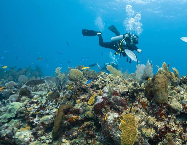 Komodo National Park