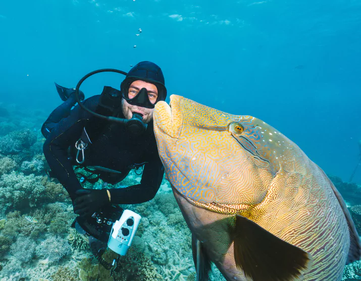 Underwater scene at Tatawa Besar dive site, Komodo National Park