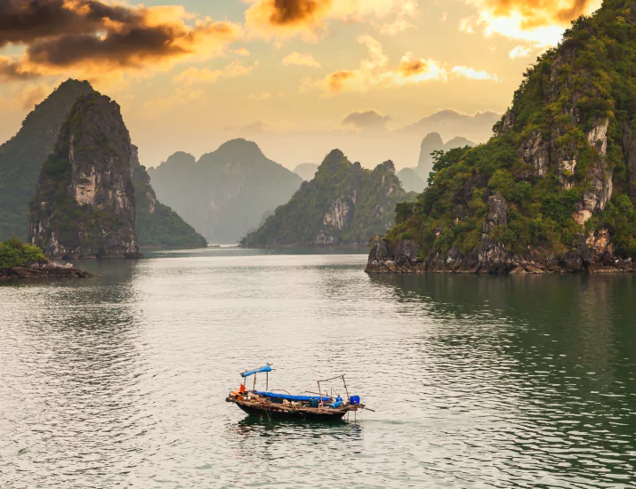 Flying Foxes at Kalong Island