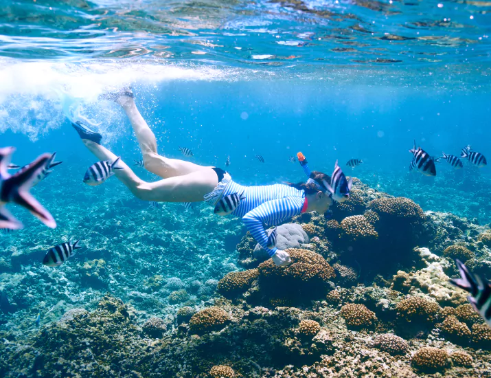 Traveling from Labuan Bajo to Komodo Island